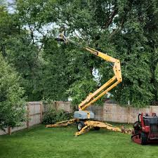  Shreveport, LA Tree Care Pros