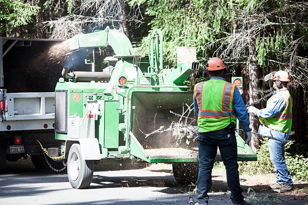 Best Storm Damage Tree Cleanup  in Shreveport, LA